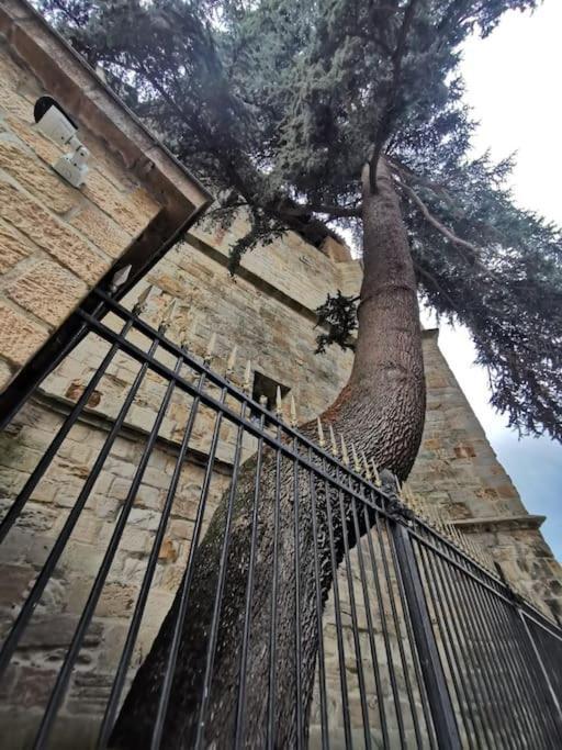 Appartamento Style Et Ambiance Foix Esterno foto